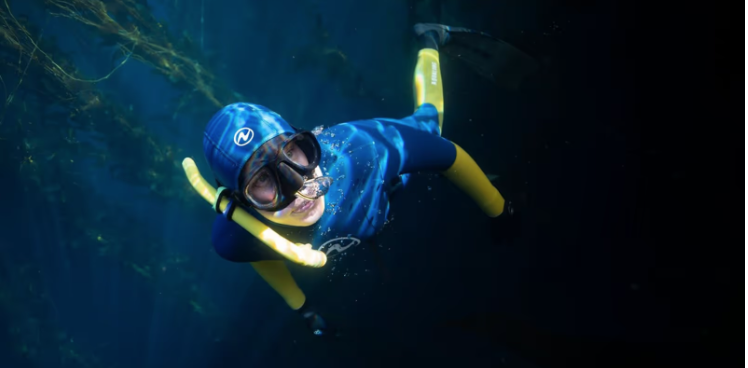 Explore Catalina’s Underwater World in "The Blue Forest" Exhibition